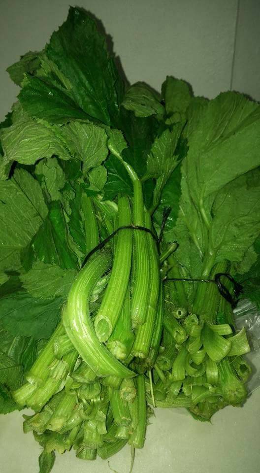 Çaycuma Çamlık Köyü Resimleri 4