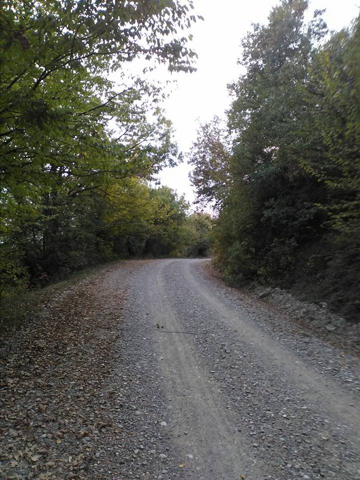 Çaycuma Çamlık Köyü Resimleri 5