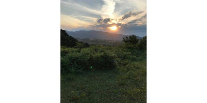 Çaycuma Çamlık Köyü Resimleri