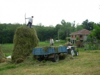 Çaycuma Başaran Köyü Resimleri 1