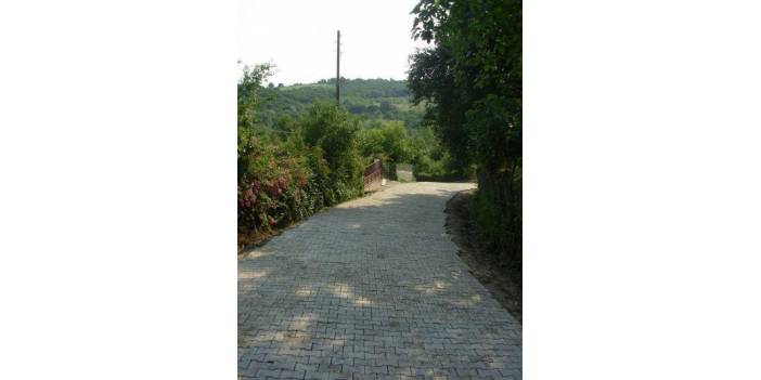 Çaycuma Başaran Köyü Resimleri