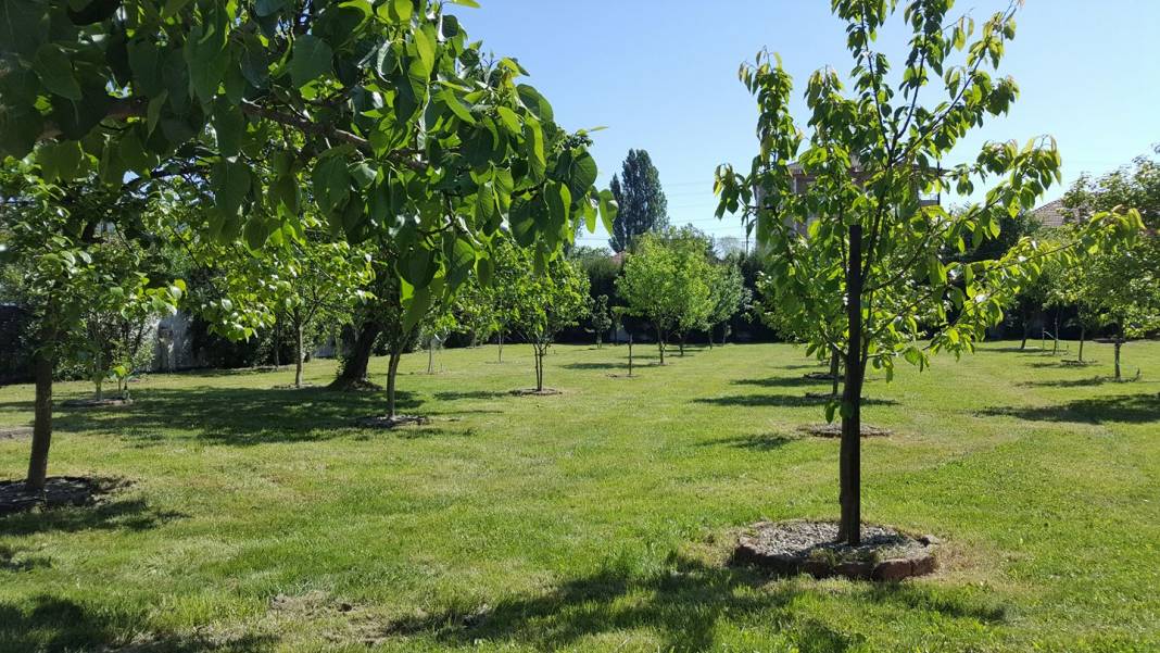 Çaycuma Çömlekçi Köyü Resimleri 3