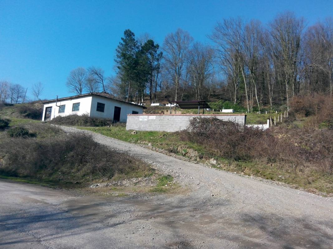 Çaycuma Aşağıihsaniye Köyü Resimleri 3