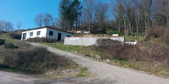 Çaycuma Aşağıihsaniye Köyü Resimleri