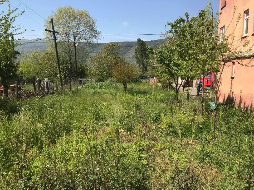 Çaycuma Akyamaç Köyü Resimleri 1