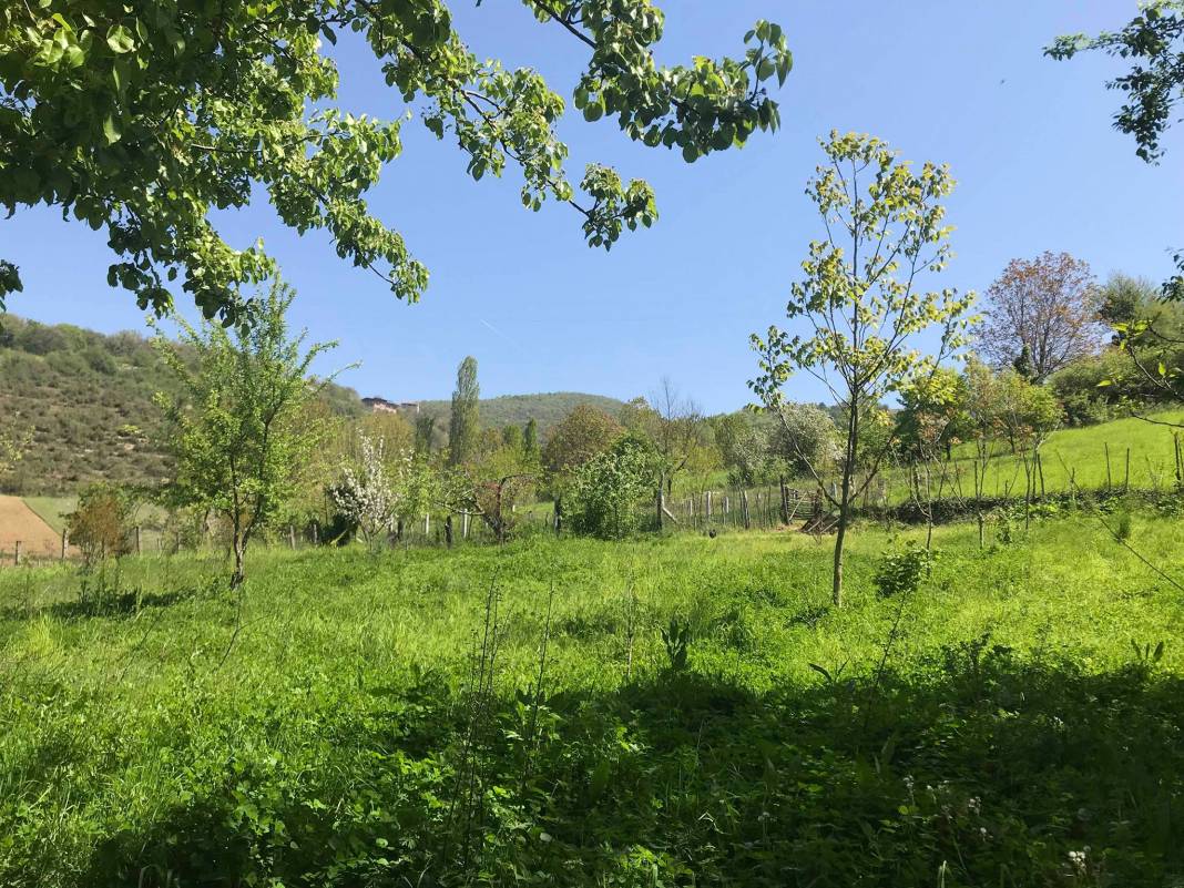 Çaycuma Akyamaç Köyü Resimleri 2