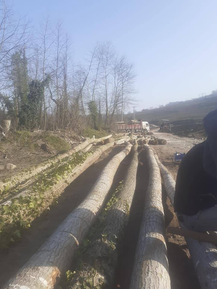 Alaplı  Kasımlı Köyü Resimleri 2