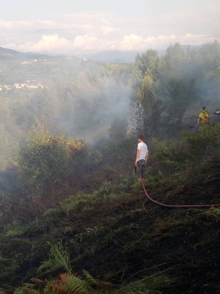 Alaplı Demirciler Köyü Resimleri 2