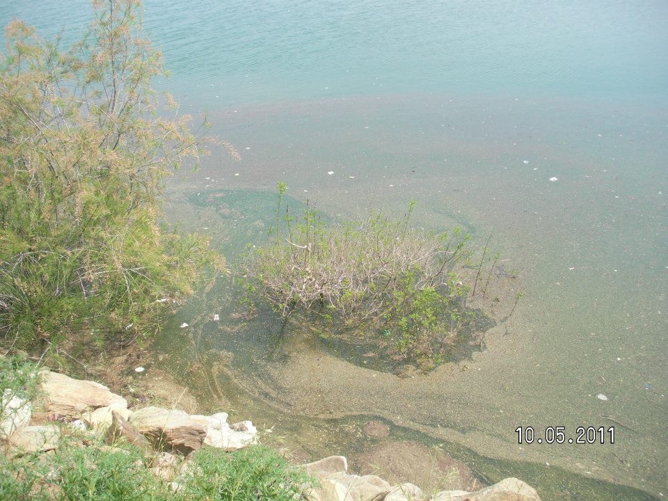 Alaşehir Girelli Köyü Resimleri 2