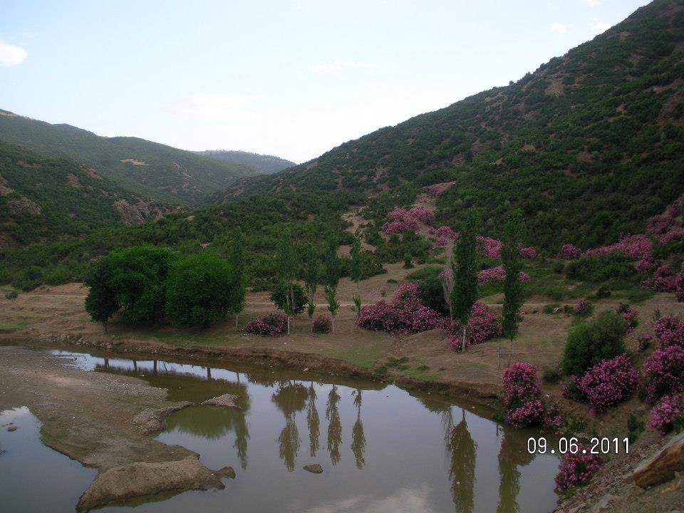 Alaşehir Girelli Köyü Resimleri 3