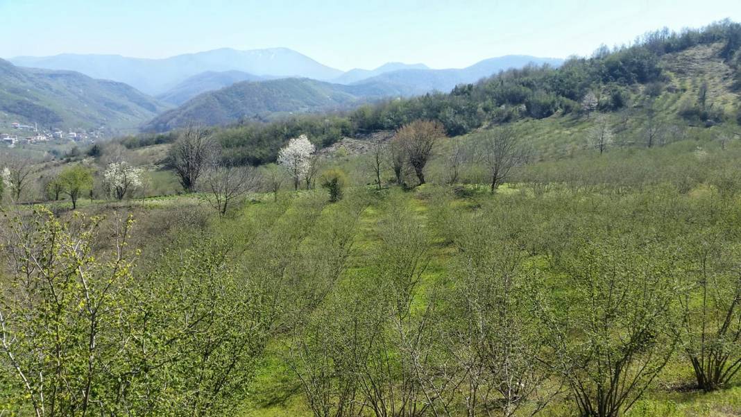 Alaplı Belen Köyü Resimleri 2