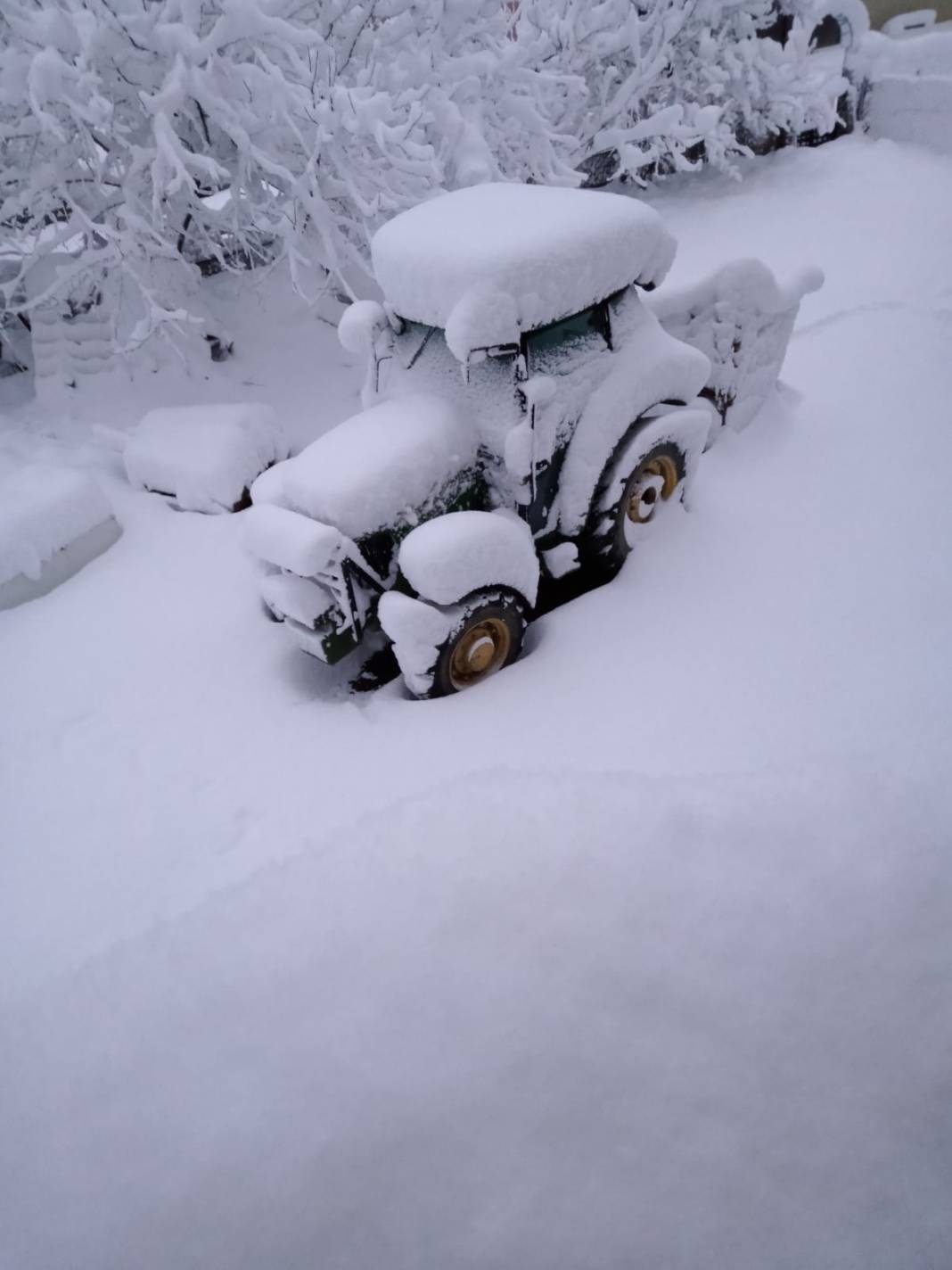 Alaplı Belen Köyü Resimleri 5