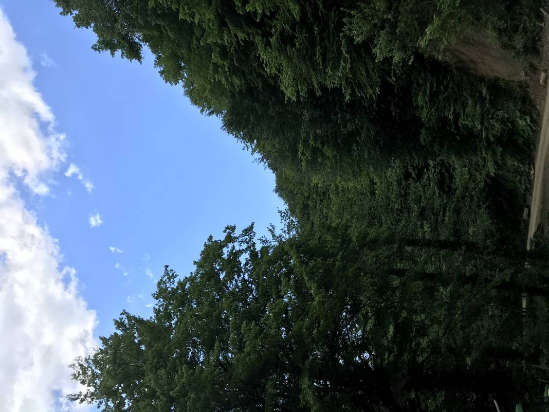 Alaplı Belen Köyü Resimleri 7