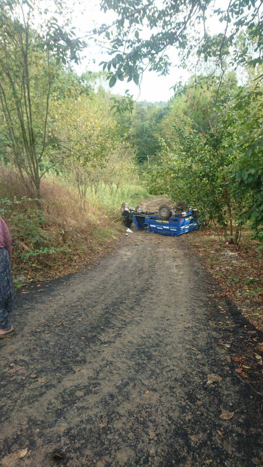Alaplı Bektaşlı Köyü Resimleri 1