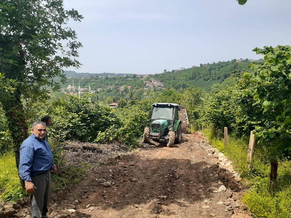 Alaplı aşağıdağköy Köyü Resimleri 1