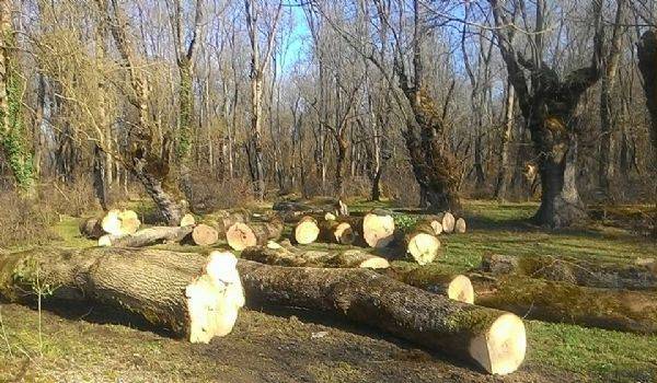 Çaycuma Adaköy Köyü Resimleri 2