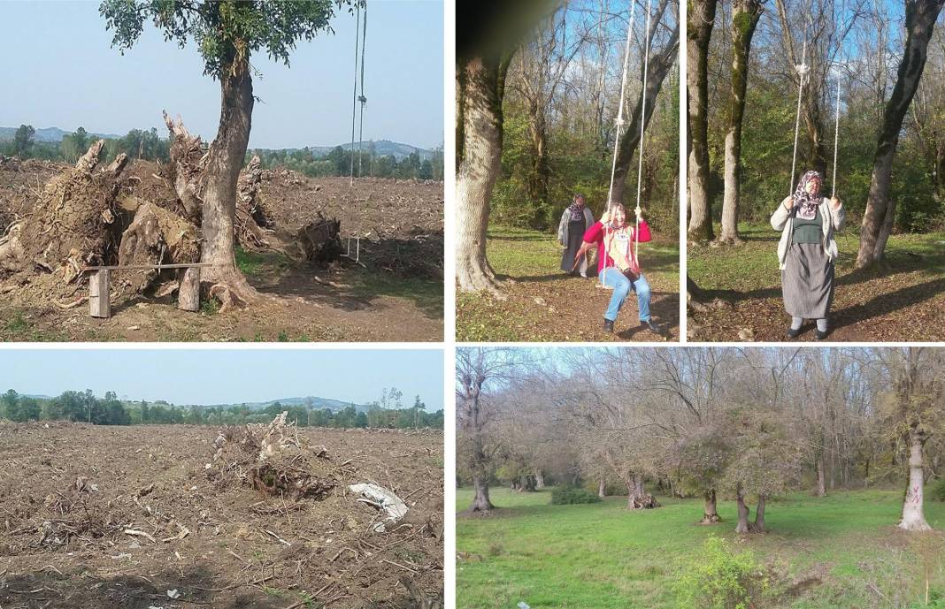 Çaycuma Adaköy Köyü Resimleri 3