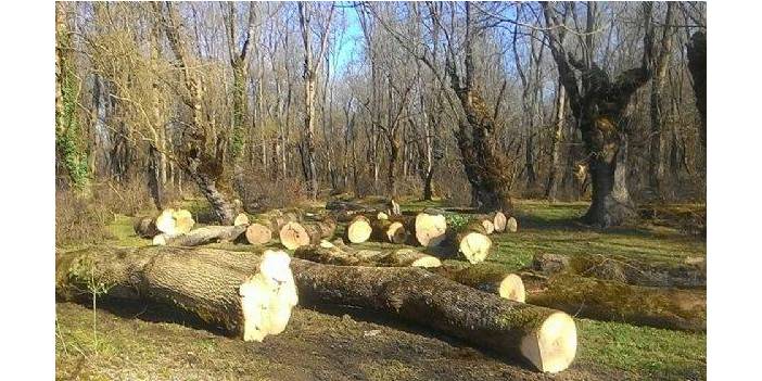 Çaycuma Adaköy Köyü Resimleri