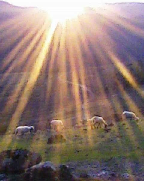 Kınık Bağalanı Köyü Resimleri 1