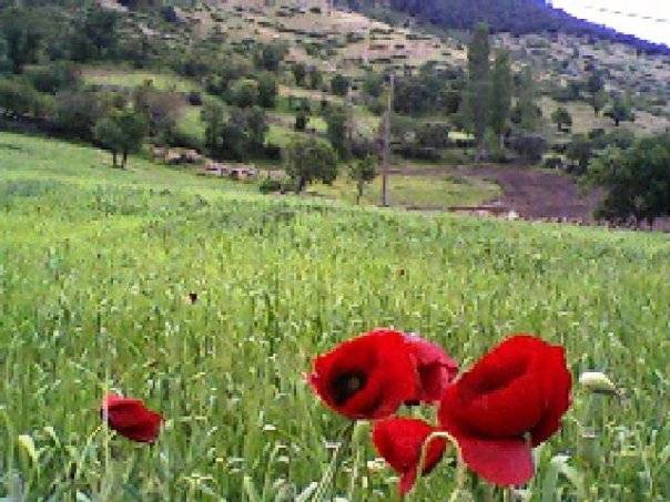 Kınık Bağalanı Köyü Resimleri 2