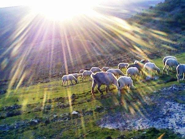 Kınık Bağalanı Köyü Resimleri 6