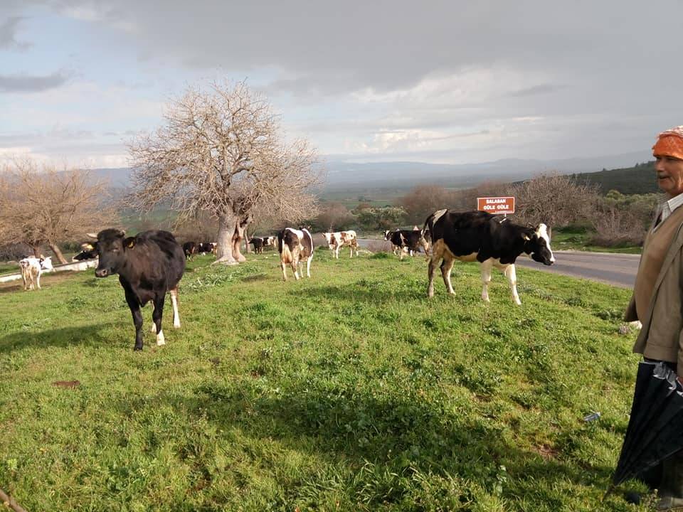 Kınık Balaban Köyü Resimleri 3
