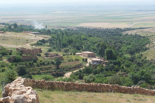 Kızıltepe Arakapı Köyü Resimleri 1