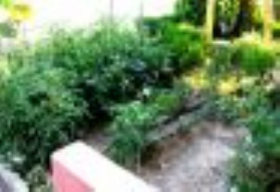 Kızıltepe Arakapı Köyü Resimleri 6