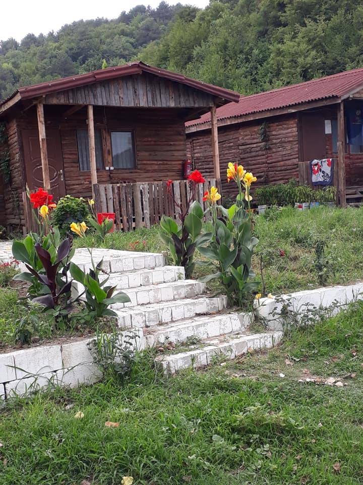 Kilimli Göbü Köyü  Resimleri 1