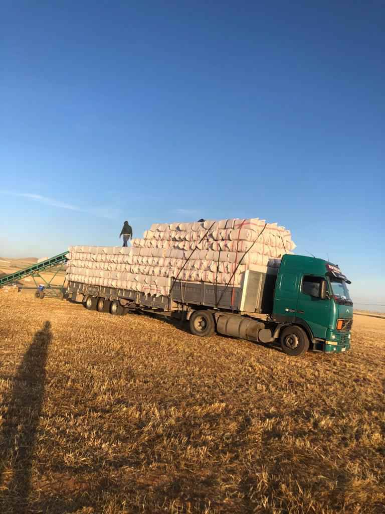 Kilimli Sapca Köyü Resimleri 1