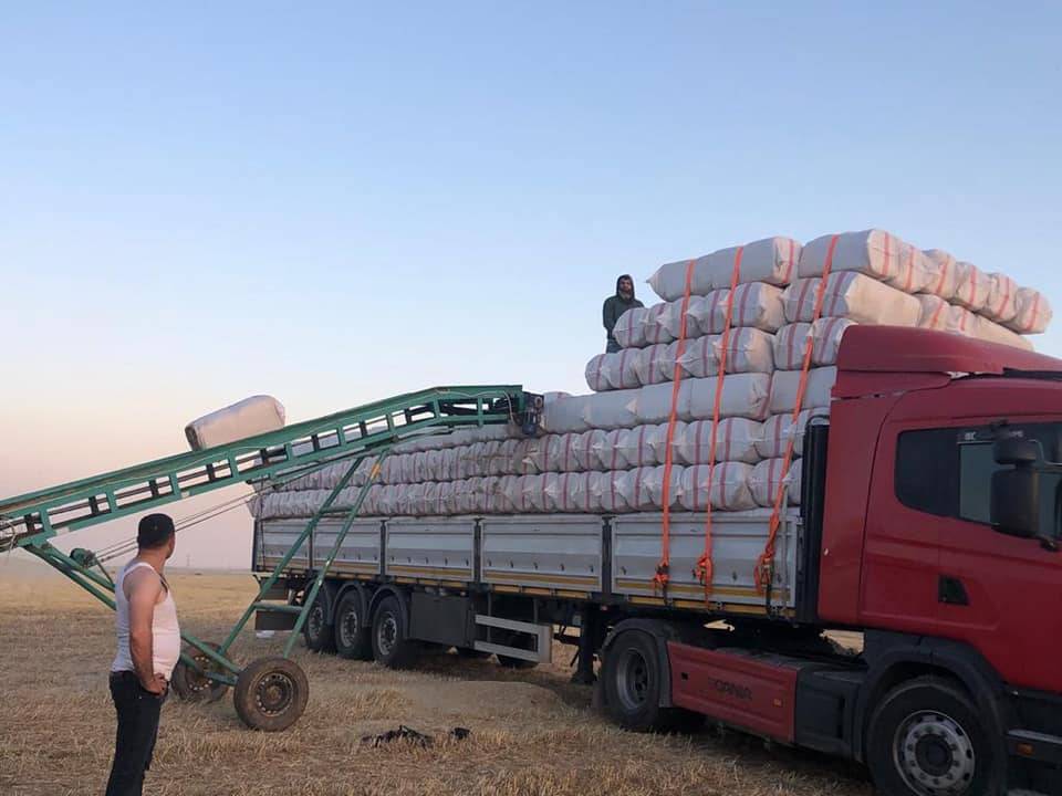 Kilimli Sapca Köyü Resimleri 2