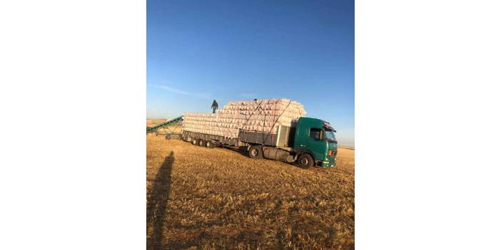 Kilimli Sapca Köyü Resimleri