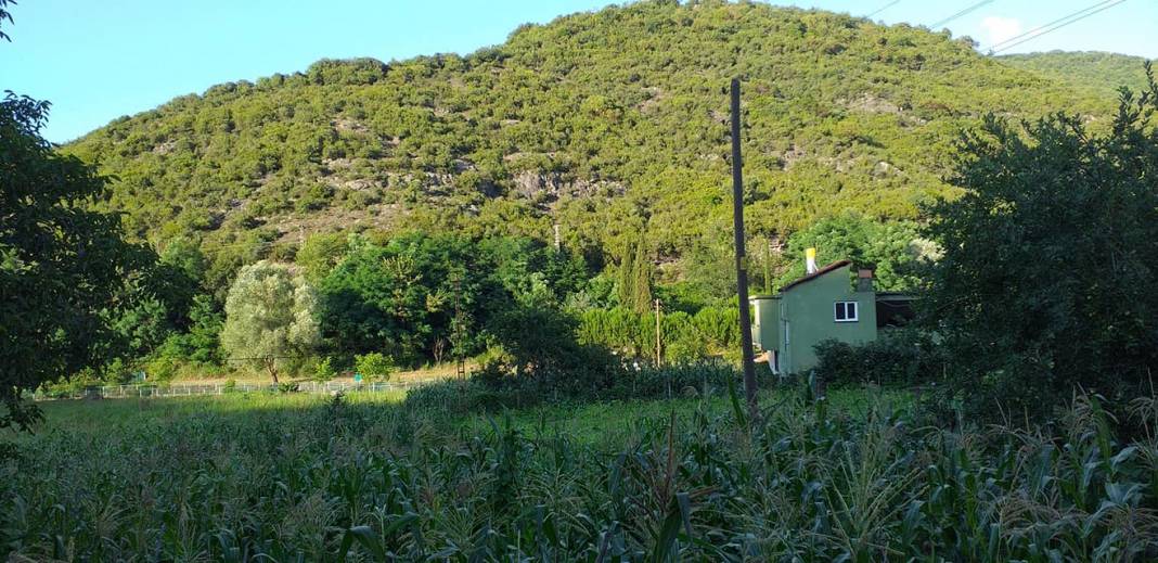 Kilimli Türkali Köyü Resimleri 1