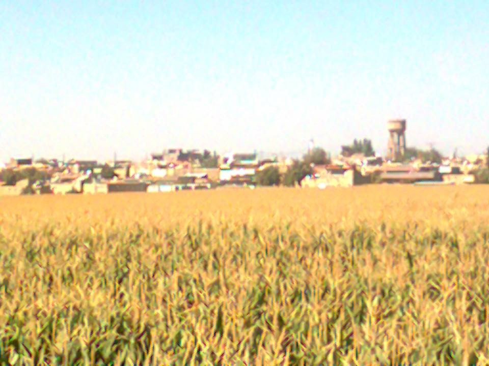 Kızıltepe Arıklı Köyü Resimleri 1