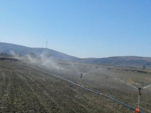 Afyon Dinar Akgün Köyü Resimleri