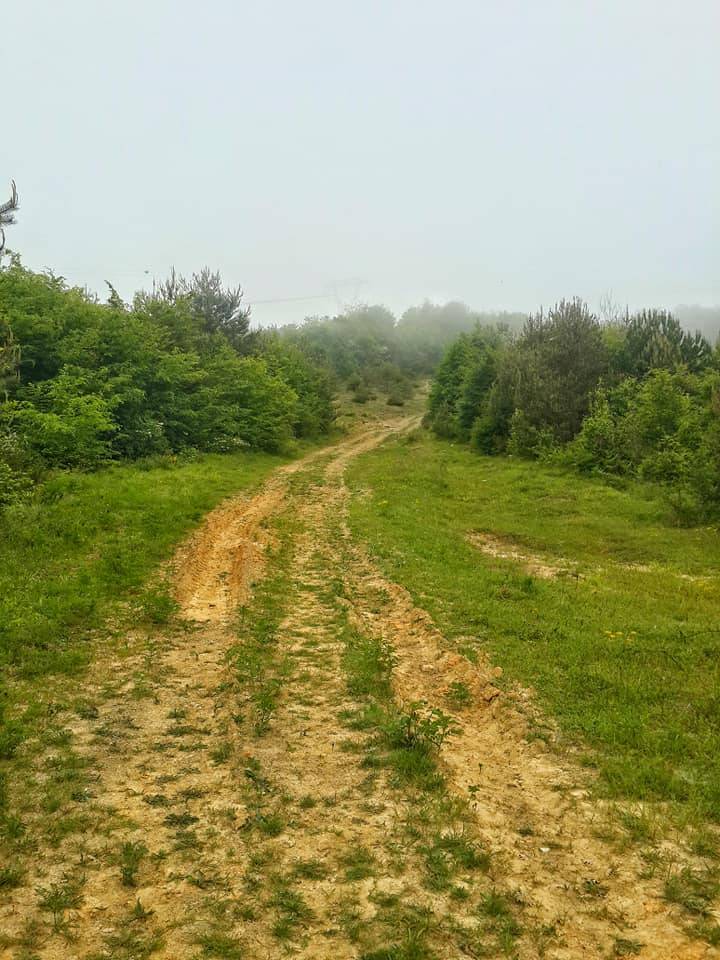 Kilimli Şirinköy Köyü Resimleri 1