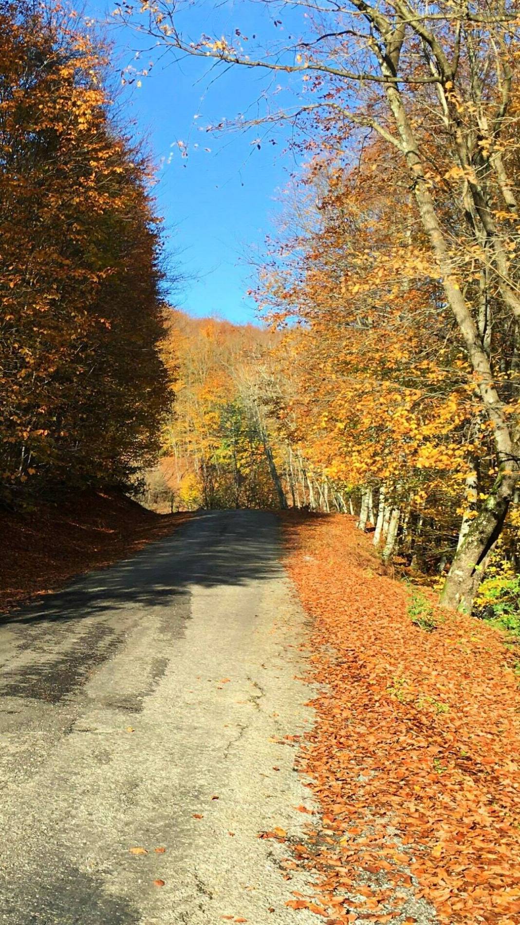 Kozlu Bozca Köyü  Resimleri 2