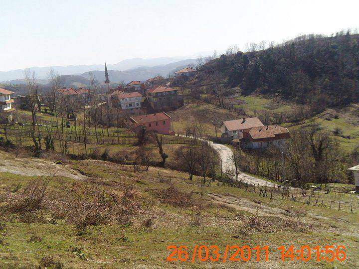 Kozlu Çardaş Köyü Resimleri 1