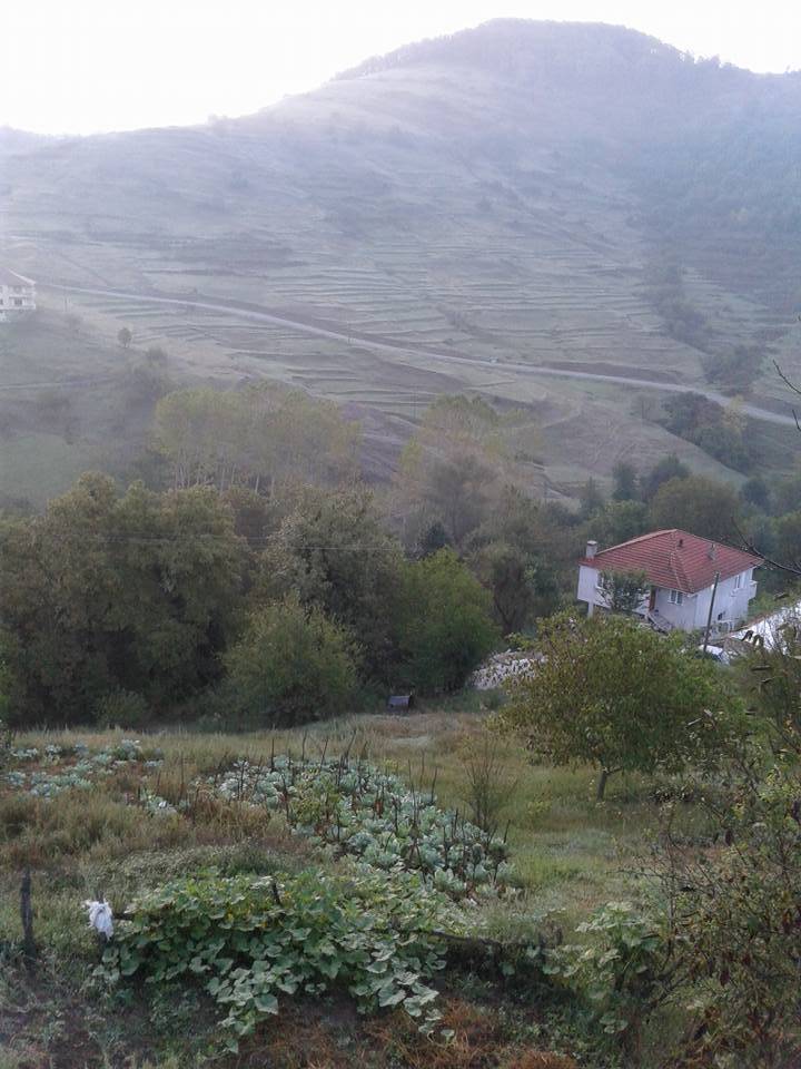 Kozlu Çardaş Köyü Resimleri 2