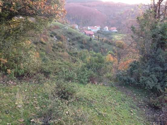 Kozlu Çardaş Köyü Resimleri 5