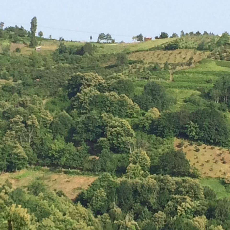 Kozlu Dağköy Köyü Resimleri 3