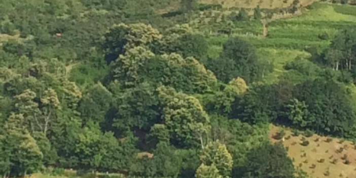 Kozlu Dağköy Köyü Resimleri