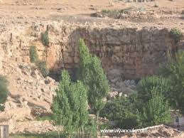 Kızıltepe Arıtepe Köyü Resimleri 2