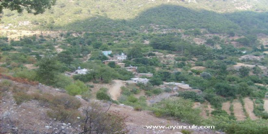 Kızıltepe Arıtepe Köyü Resimleri