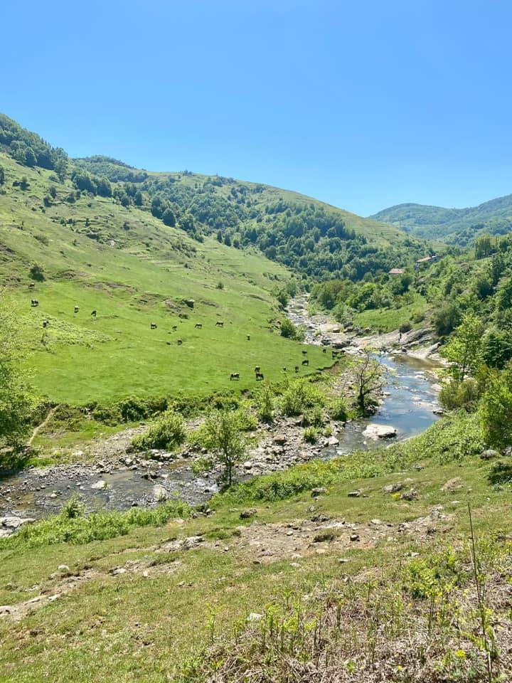 Kozlu Ebegümeci Köyü Resimleri 3