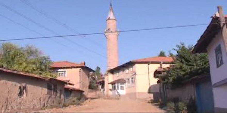 Kızıltepe Aslanlı Köyü Resimleri
