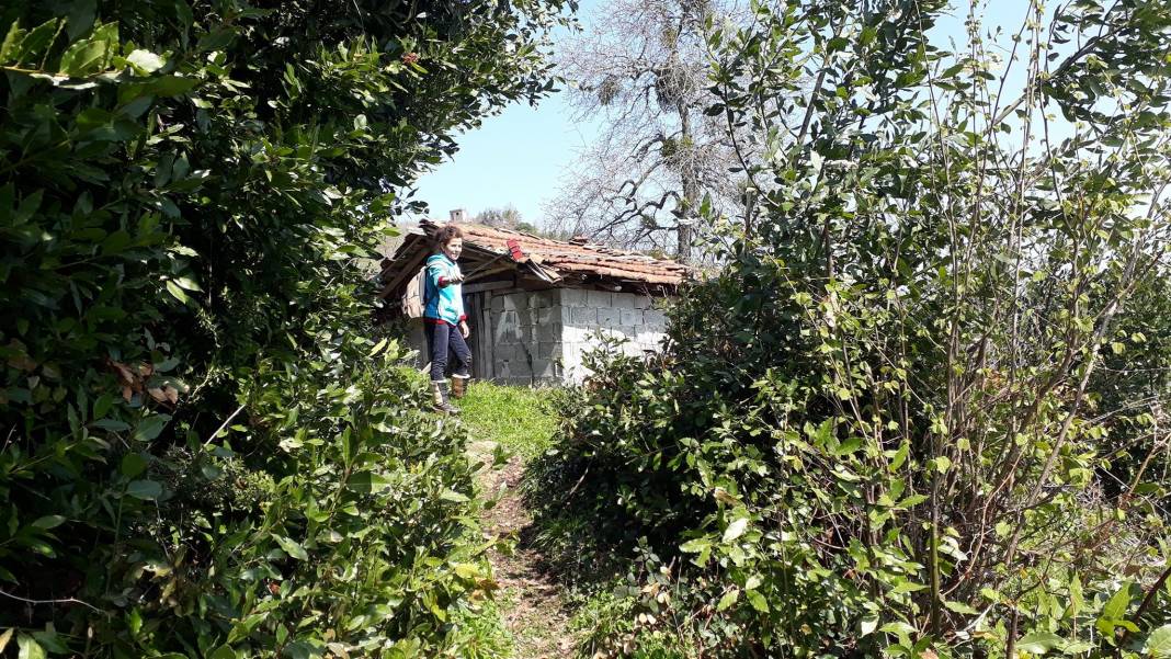 Kozlu Seyfetler Köyü Resimleri 3