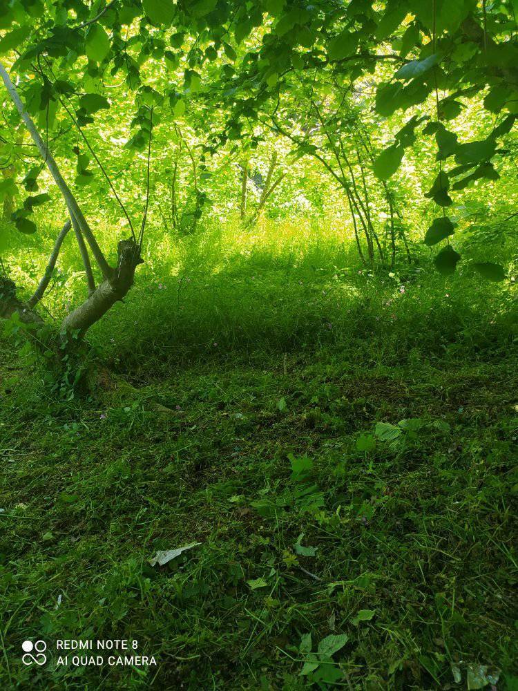 Kozlu Seyfetler Köyü Resimleri 4