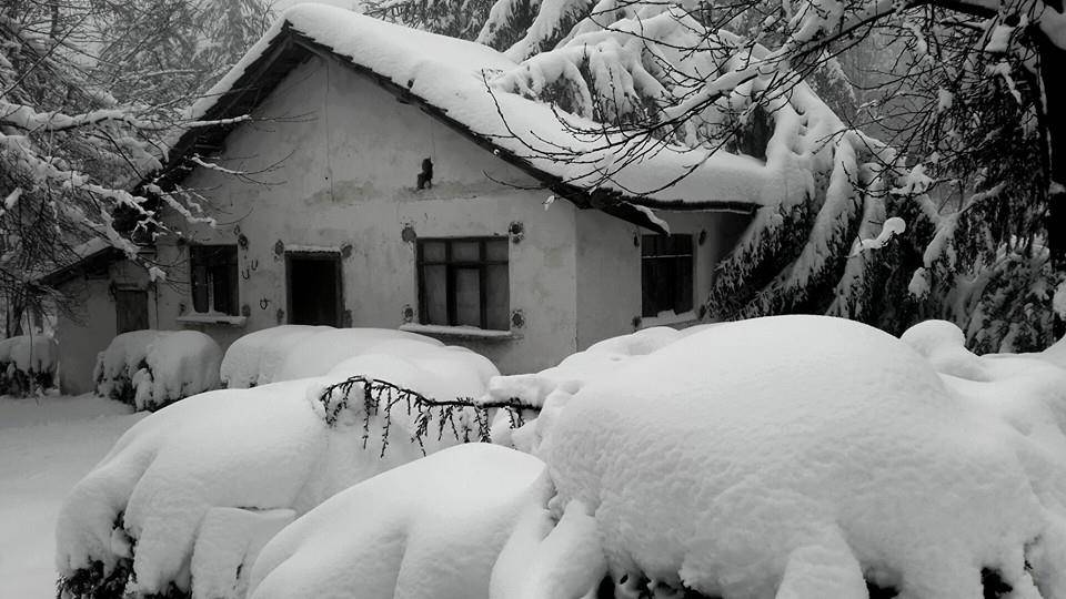 Kozlu Sivriler Köyü  Resimleri 1