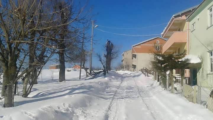 Kozlu Sivriler Köyü  Resimleri 3